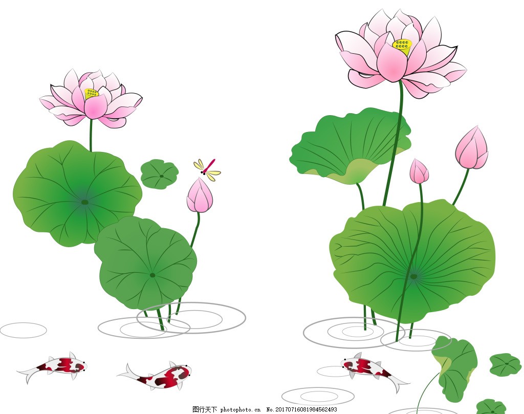 荷塘月色荷花矢量图 中国风荷花 荷叶 鲤鱼 蜻蜓 莲花