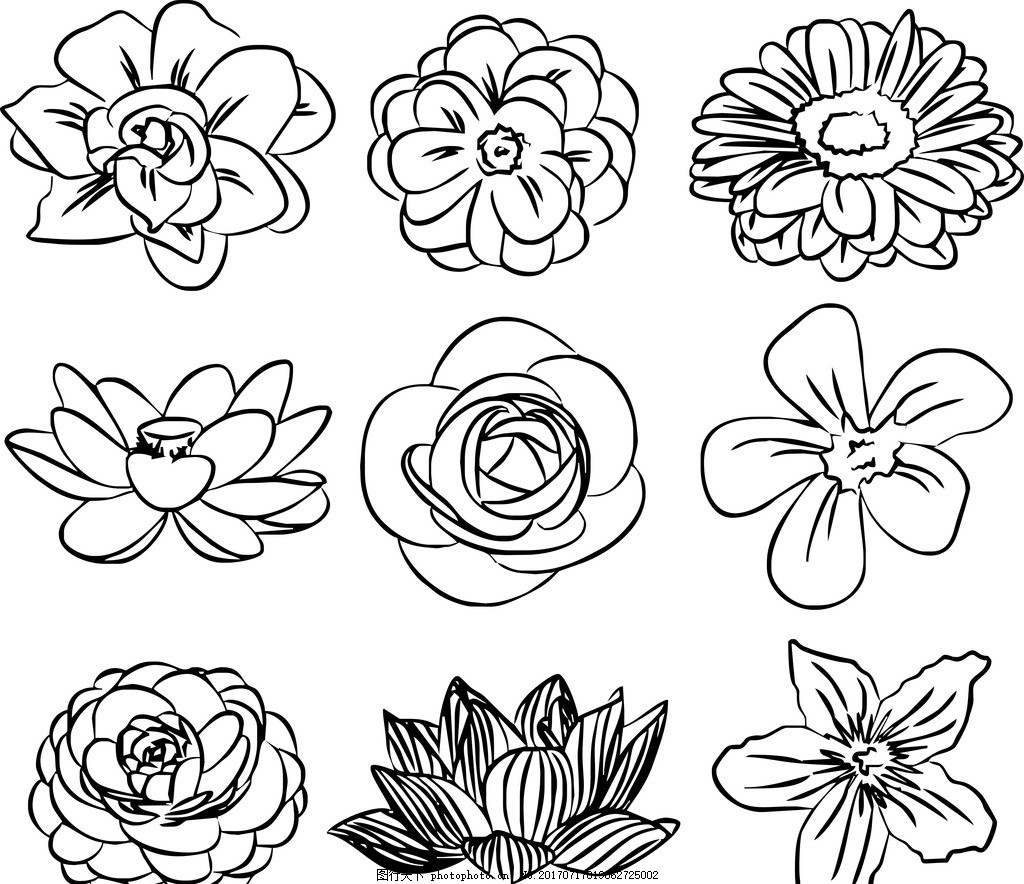 矢量花朵图片_绘画书法_文化艺术_图行天下图库