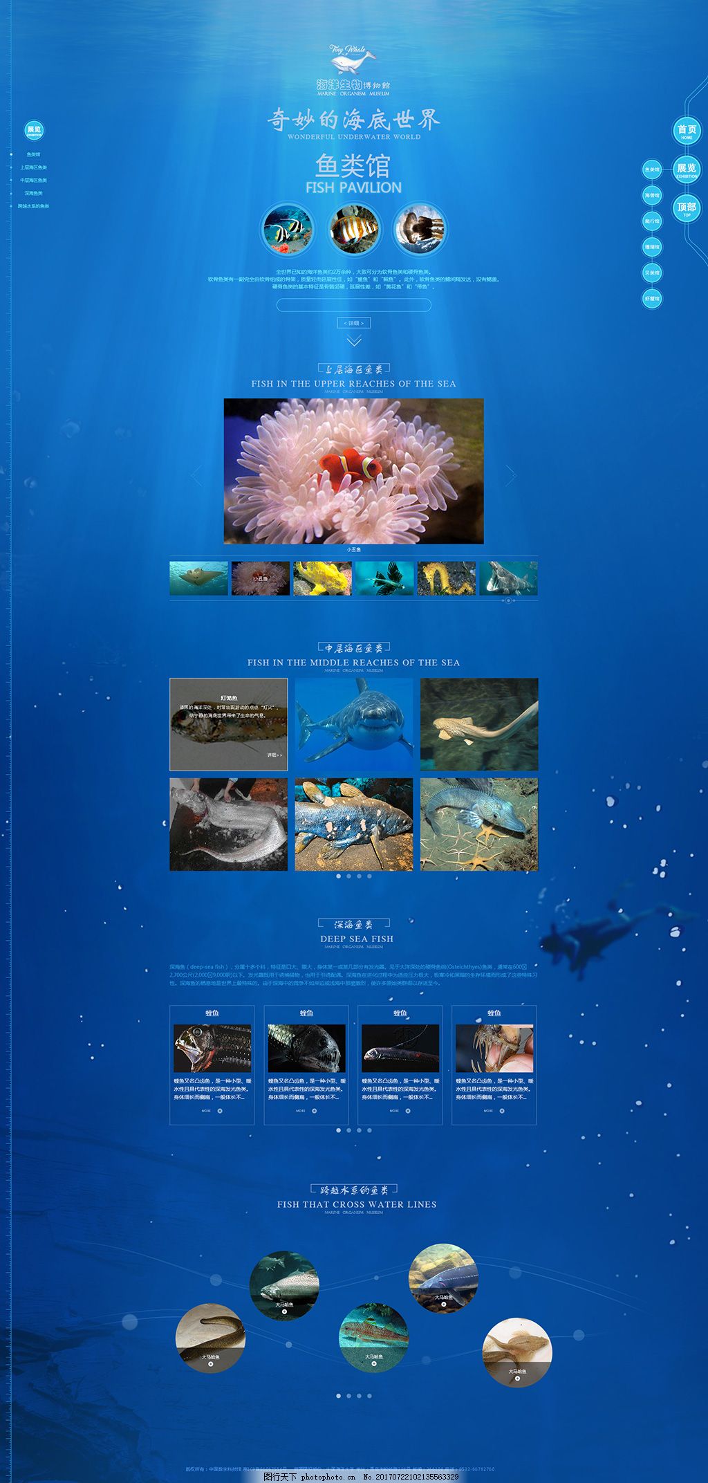 海洋生物博物馆X 网站 网页 蓝色 简约