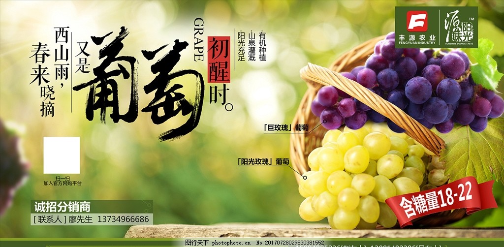 葡萄海报,葡萄酒 淘宝 水果 农业 农产品-图行天