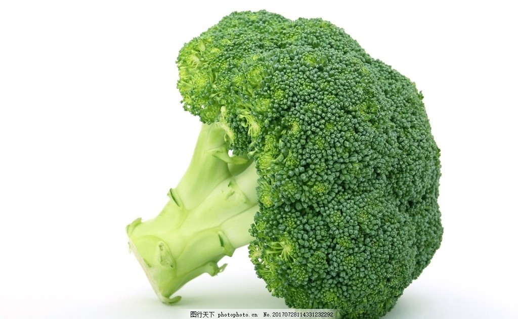 西兰花 西蓝花 青花菜 花椰菜 蔬菜 摄影 蔬菜摄