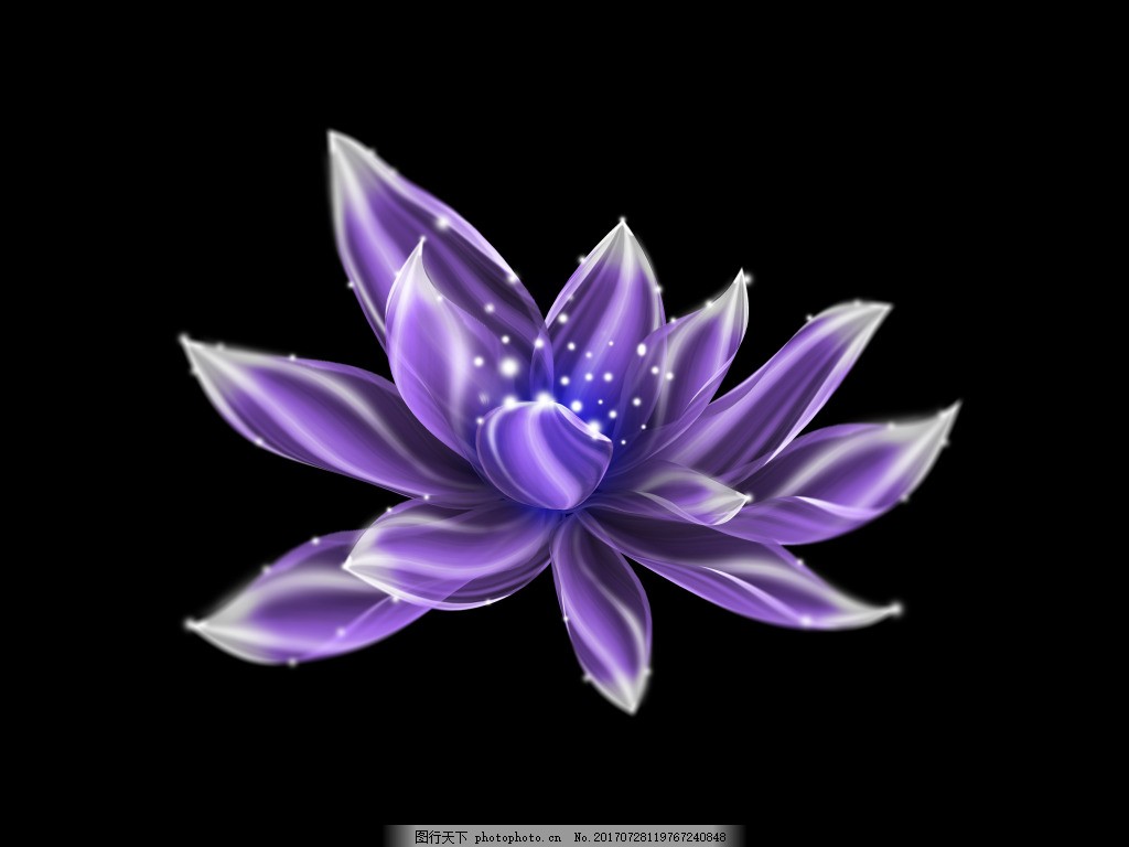 紫色发光花元素 紫色发光花元素