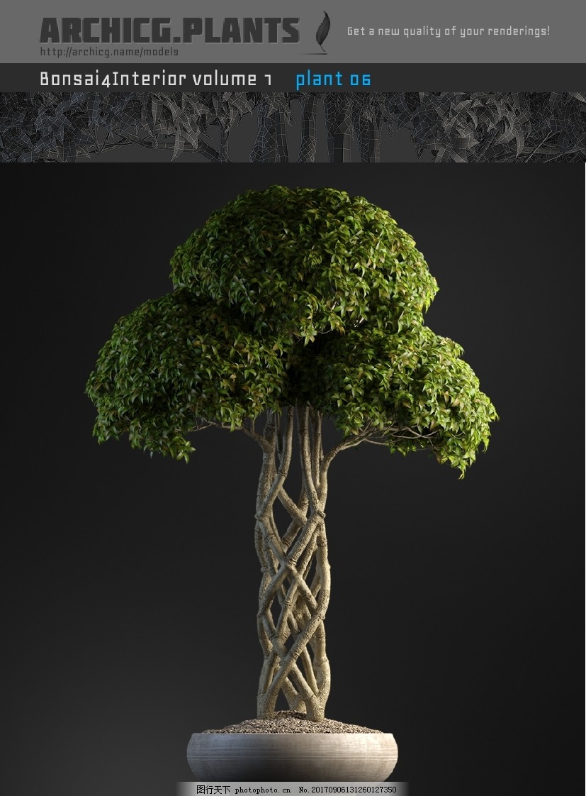 绿植盆景模型 树模型 装饰品 模型素材 展示模型 绿色植物模型