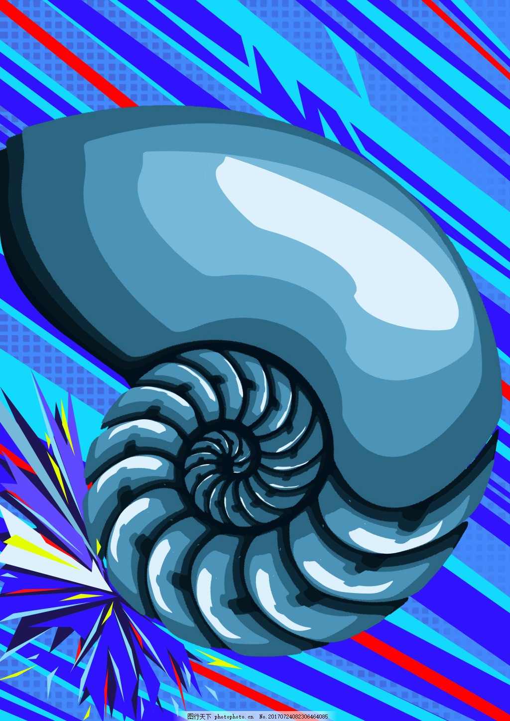 [插画]贝壳&海螺（2）|插画|插画习作|江户 - 原创作品 - 站酷 (ZCOOL)