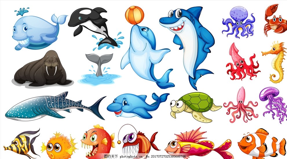 海洋动物图片 海洋生物 生物世界 图行天下素材网